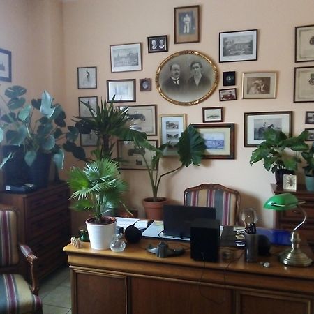 Villa Minerva Zielona Góra Exteriör bild